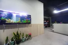 바라미타이 (송우리)