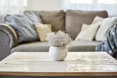 지안스웨디시 (나주)