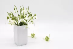 천사테라피 (고운)