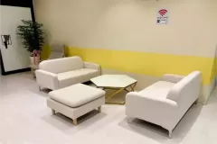퀸테라피 (배곧)
