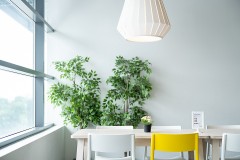 하니 1인샵 (당산)