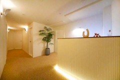 도파민스웨디시 (두정)